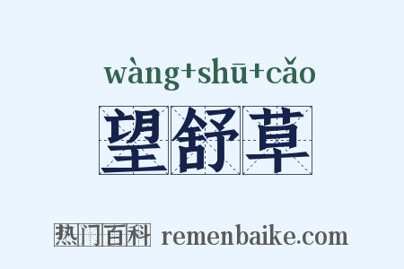 望舒草是什么意思的图片